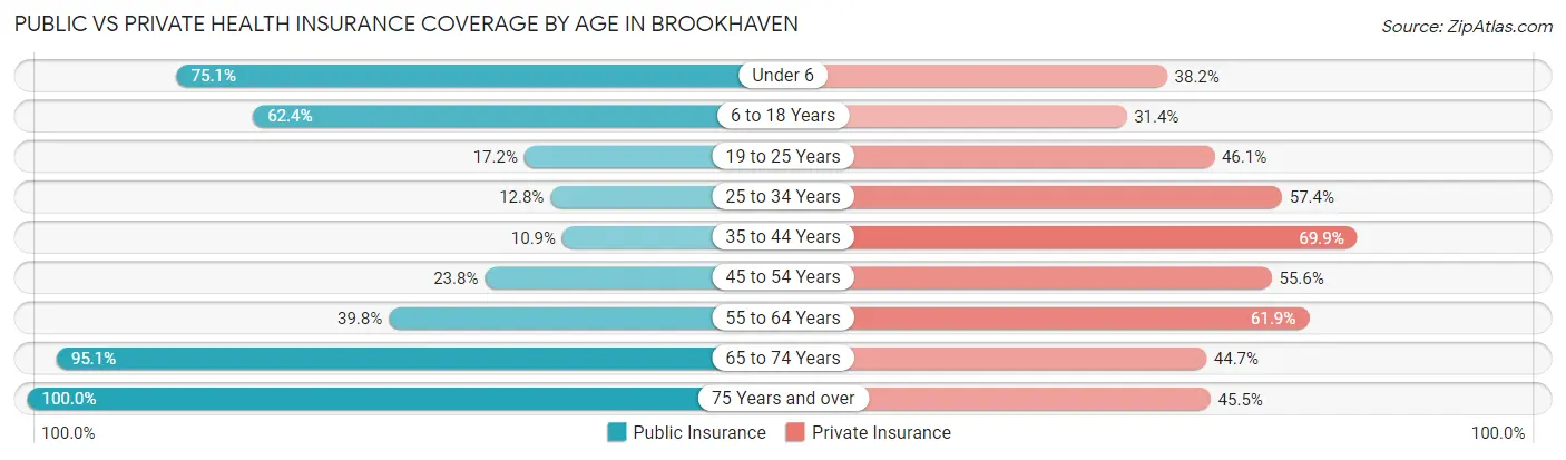 Public vs Private Health Insurance Coverage by Age in Brookhaven