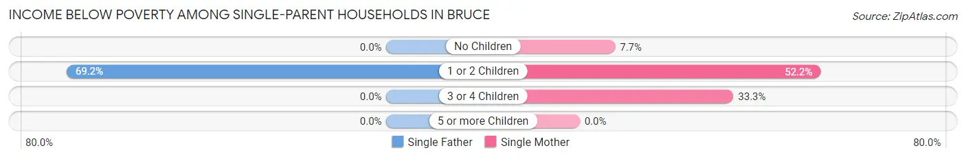 Income Below Poverty Among Single-Parent Households in Bruce