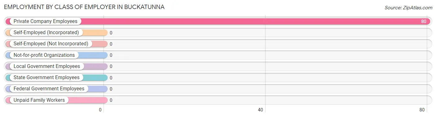 Employment by Class of Employer in Buckatunna