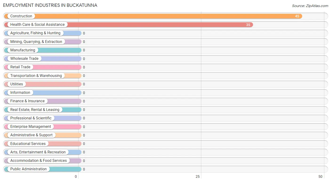 Employment Industries in Buckatunna