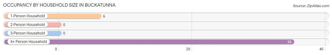 Occupancy by Household Size in Buckatunna