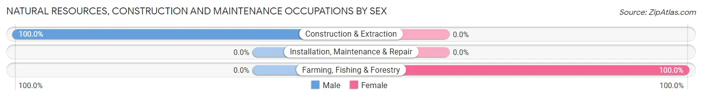 Natural Resources, Construction and Maintenance Occupations by Sex in Bude