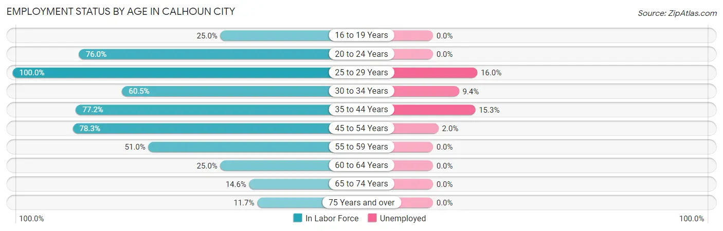 Employment Status by Age in Calhoun City