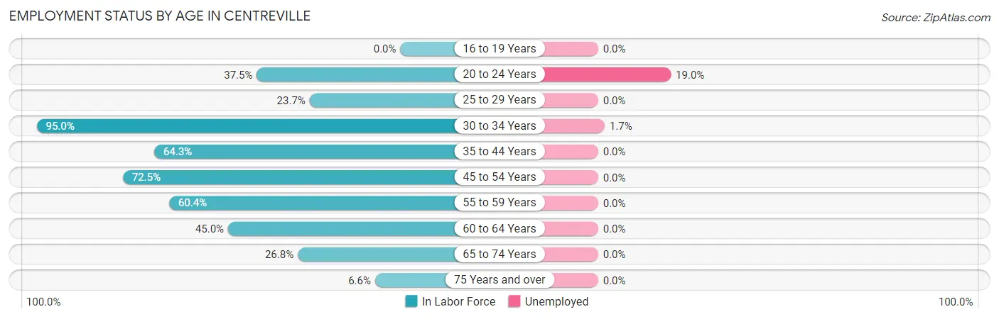 Employment Status by Age in Centreville