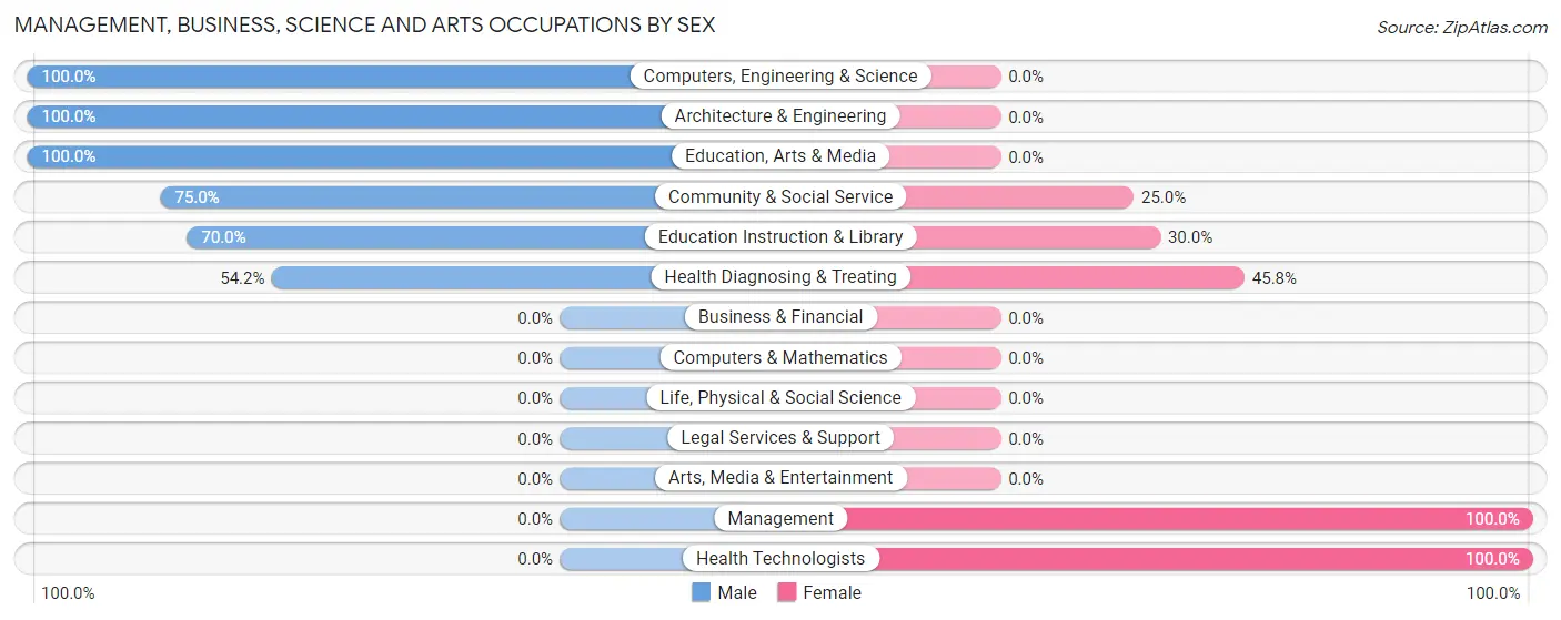 Management, Business, Science and Arts Occupations by Sex in Chunky