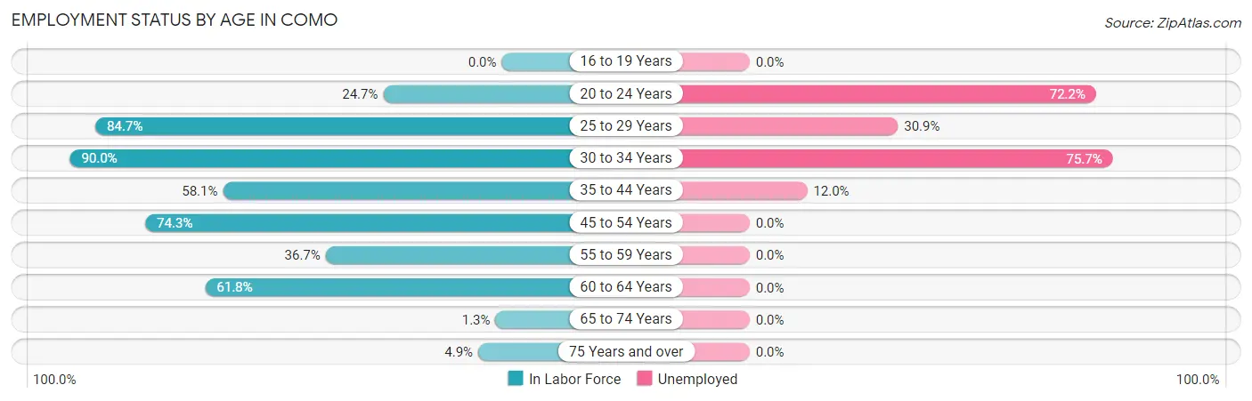 Employment Status by Age in Como