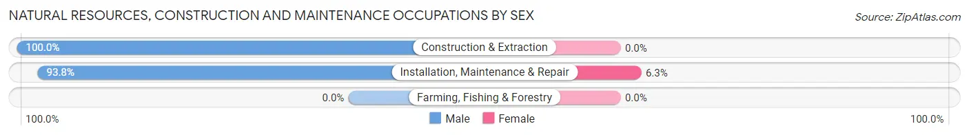 Natural Resources, Construction and Maintenance Occupations by Sex in Como