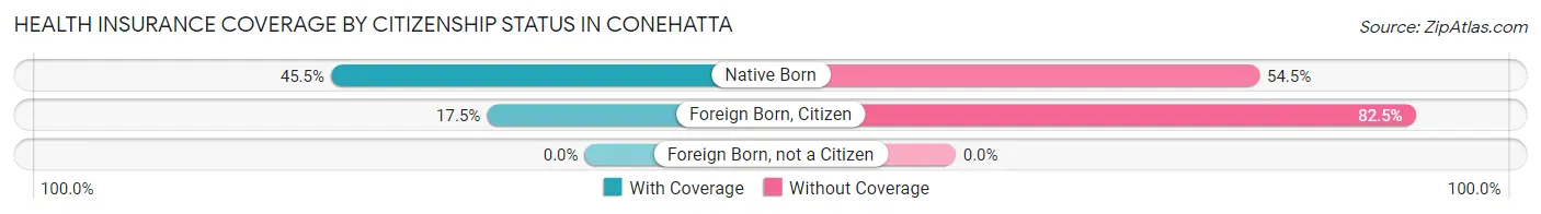 Health Insurance Coverage by Citizenship Status in Conehatta
