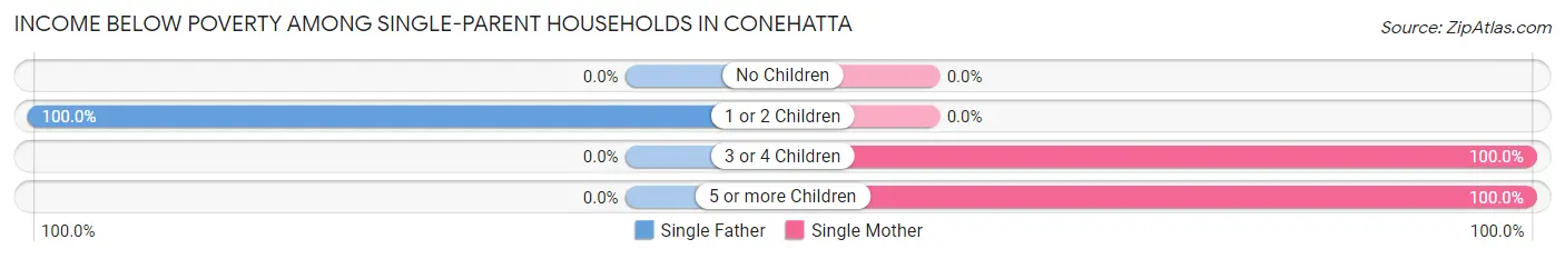 Income Below Poverty Among Single-Parent Households in Conehatta