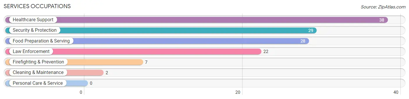 Services Occupations in De Kalb