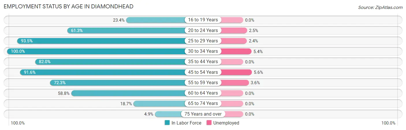 Employment Status by Age in Diamondhead