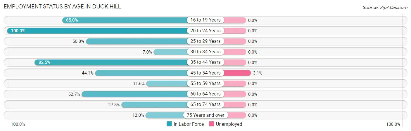 Employment Status by Age in Duck Hill