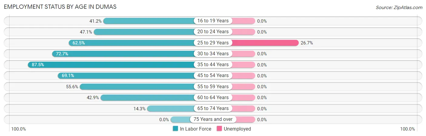 Employment Status by Age in Dumas
