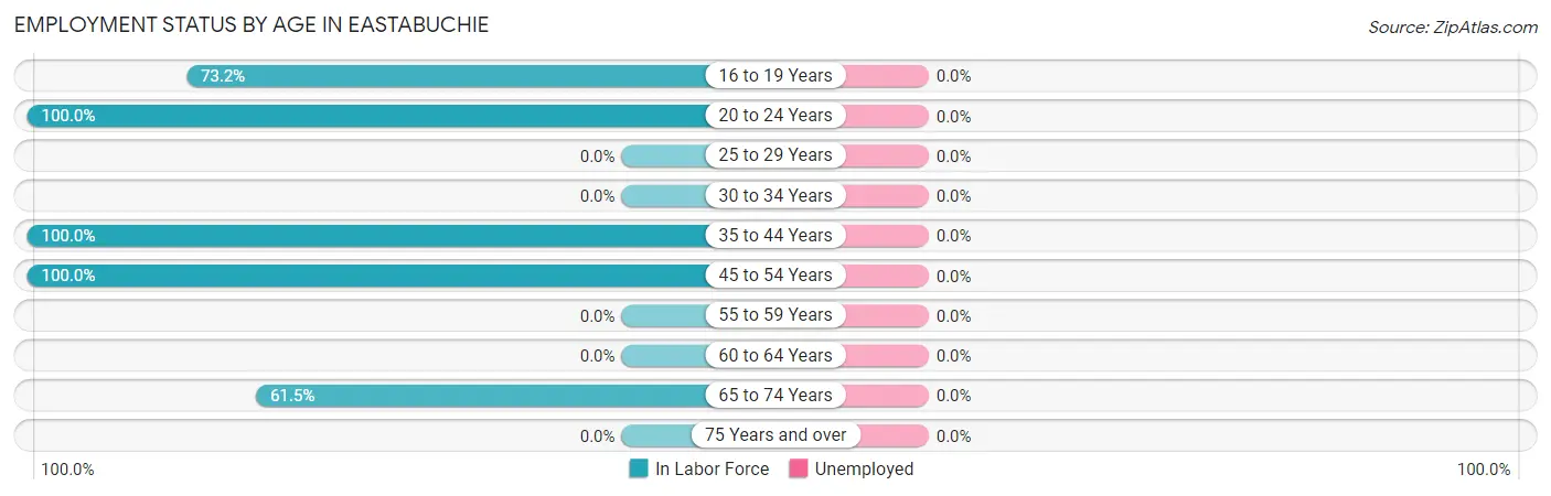 Employment Status by Age in Eastabuchie