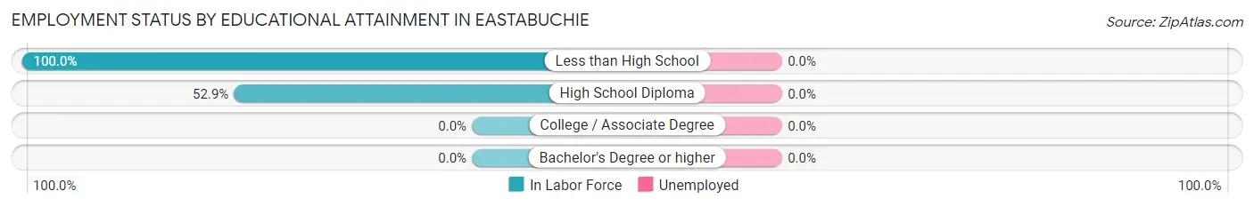 Employment Status by Educational Attainment in Eastabuchie