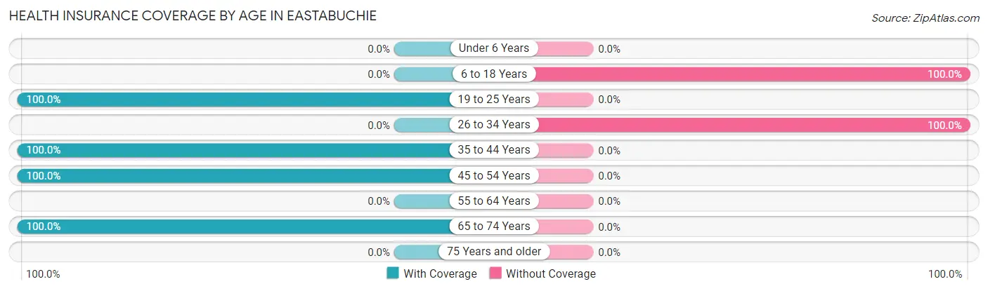 Health Insurance Coverage by Age in Eastabuchie
