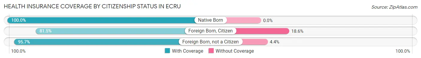 Health Insurance Coverage by Citizenship Status in Ecru