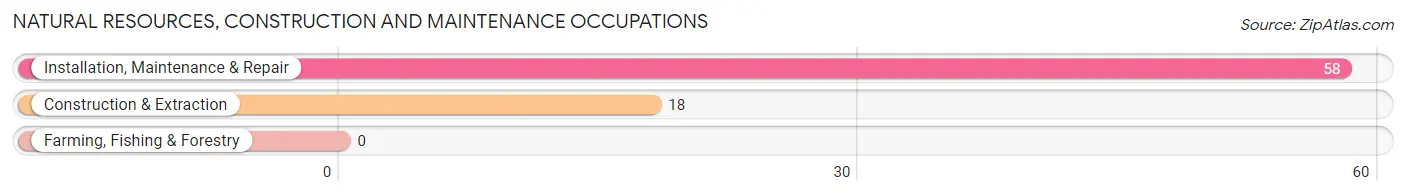 Natural Resources, Construction and Maintenance Occupations in Ecru