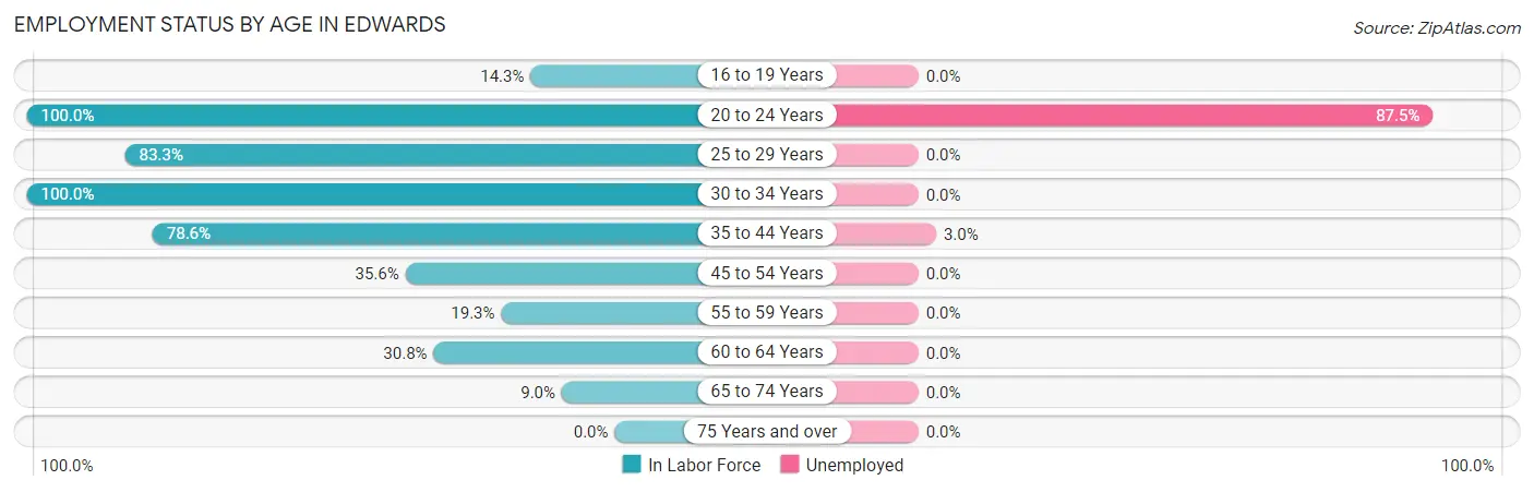 Employment Status by Age in Edwards
