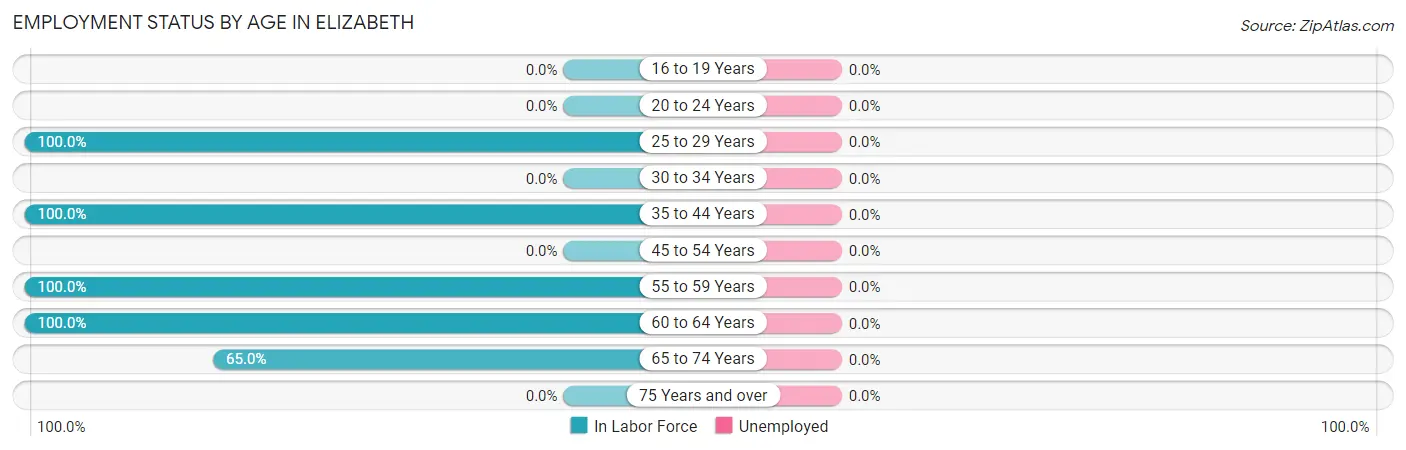 Employment Status by Age in Elizabeth