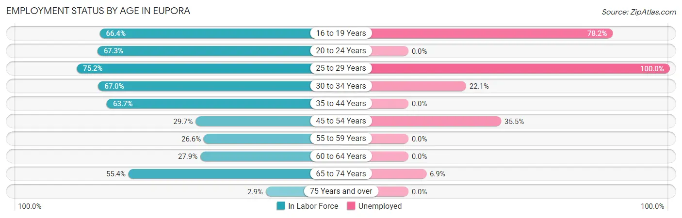 Employment Status by Age in Eupora
