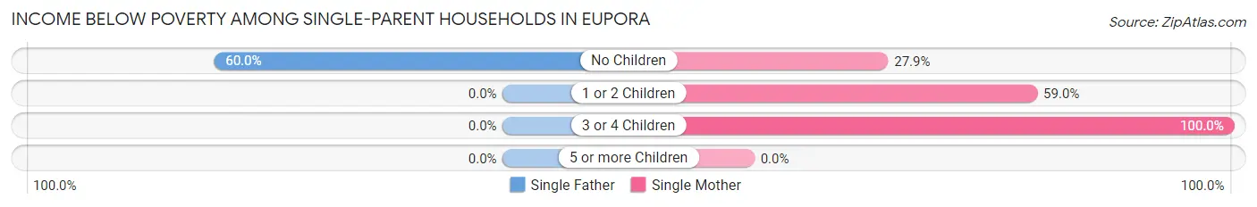 Income Below Poverty Among Single-Parent Households in Eupora