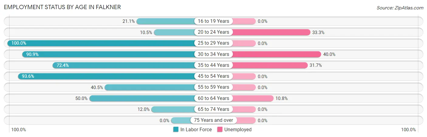 Employment Status by Age in Falkner