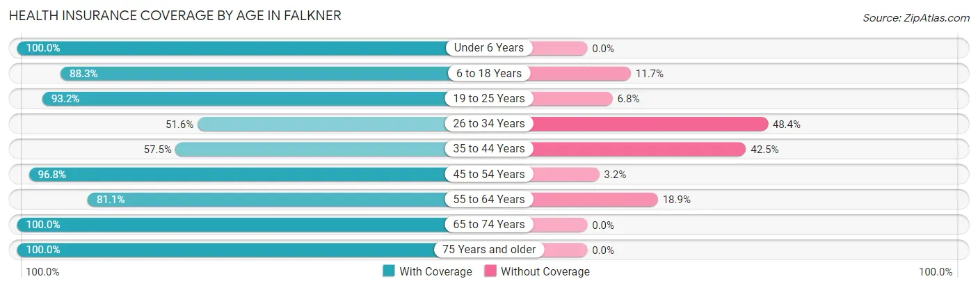 Health Insurance Coverage by Age in Falkner