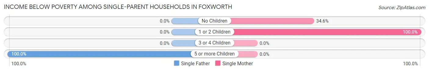 Income Below Poverty Among Single-Parent Households in Foxworth