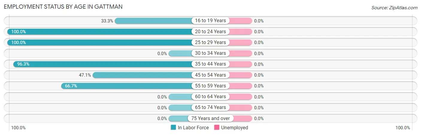 Employment Status by Age in Gattman