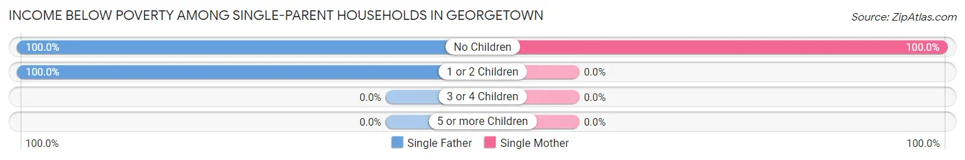 Income Below Poverty Among Single-Parent Households in Georgetown