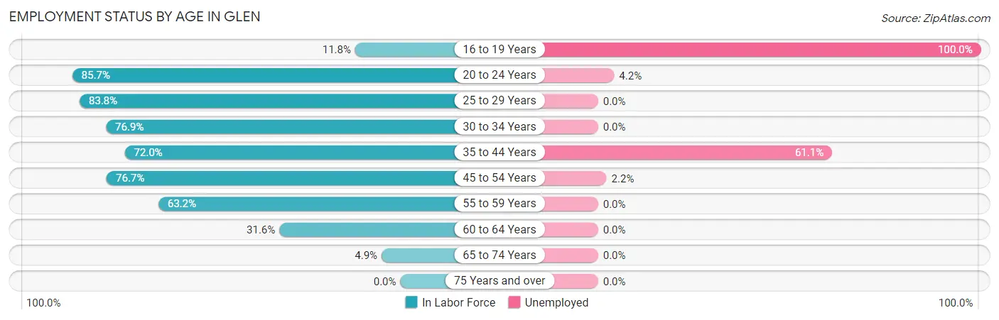Employment Status by Age in Glen