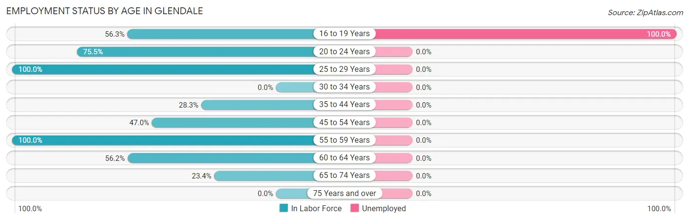 Employment Status by Age in Glendale