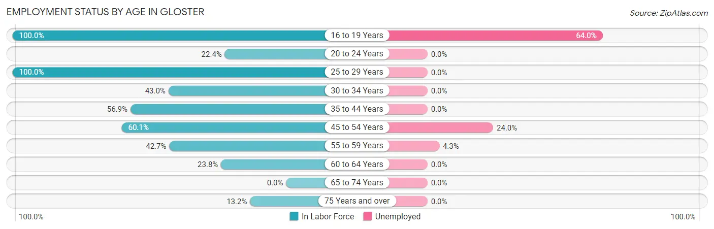 Employment Status by Age in Gloster