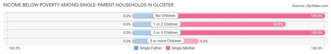 Income Below Poverty Among Single-Parent Households in Gloster