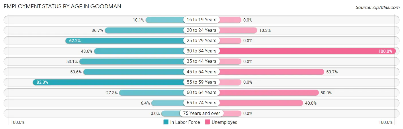 Employment Status by Age in Goodman