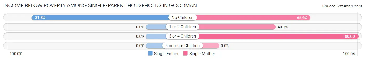 Income Below Poverty Among Single-Parent Households in Goodman