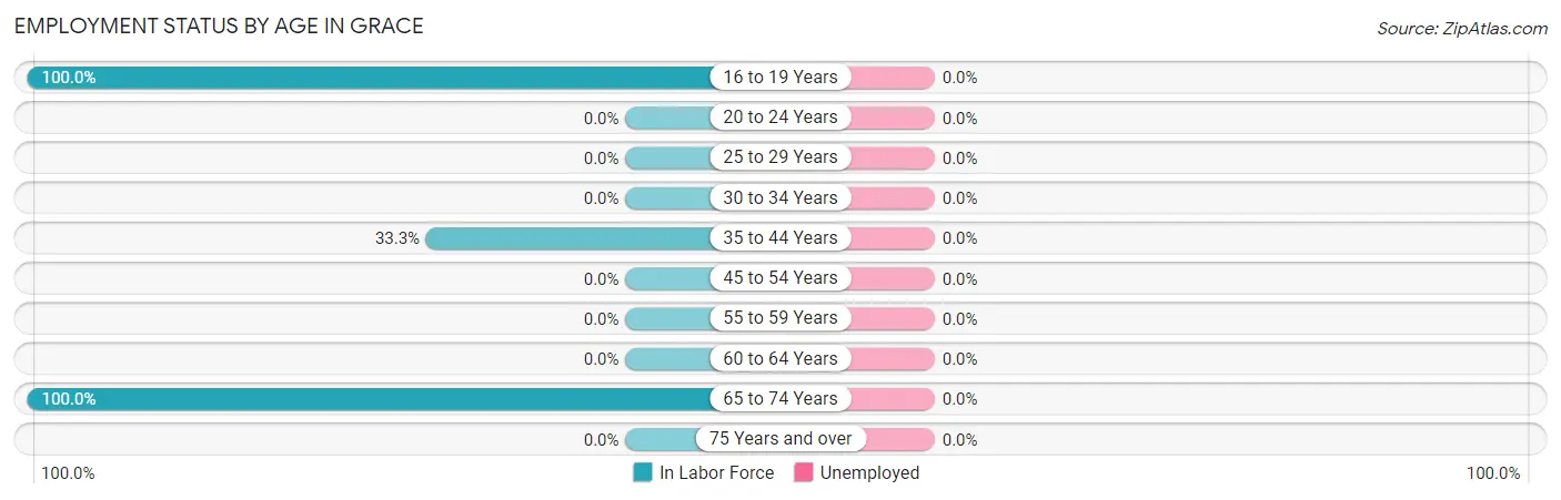 Employment Status by Age in Grace