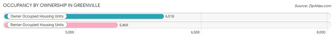 Occupancy by Ownership in Greenville