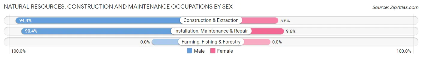 Natural Resources, Construction and Maintenance Occupations by Sex in Hattiesburg