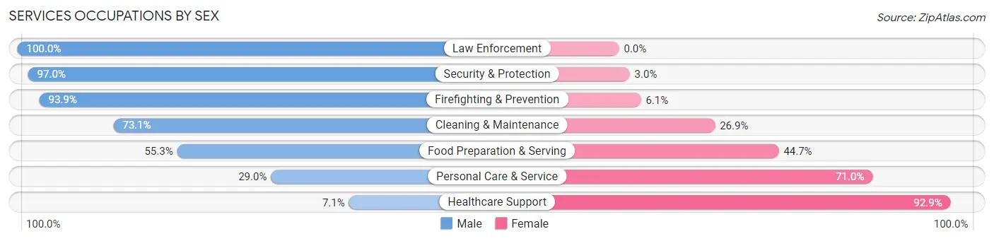 Services Occupations by Sex in Hattiesburg