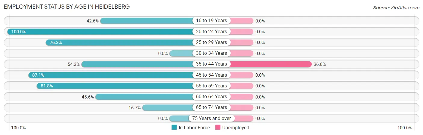 Employment Status by Age in Heidelberg