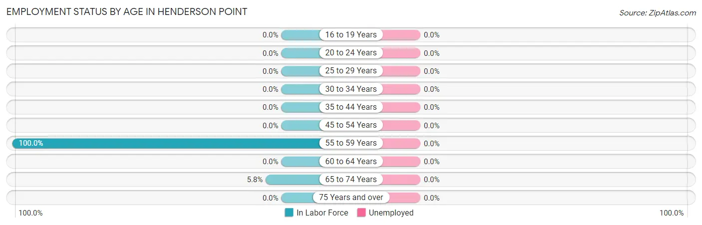 Employment Status by Age in Henderson Point