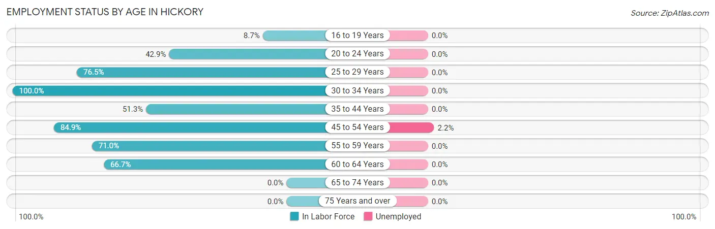 Employment Status by Age in Hickory