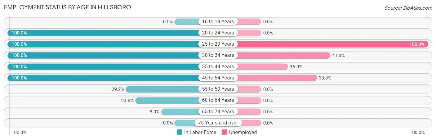 Employment Status by Age in Hillsboro