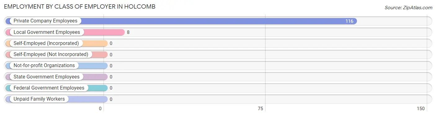 Employment by Class of Employer in Holcomb