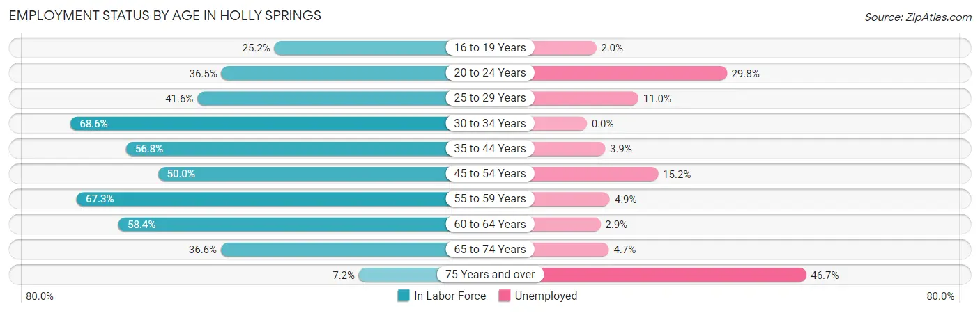 Employment Status by Age in Holly Springs