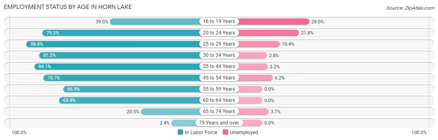 Employment Status by Age in Horn Lake