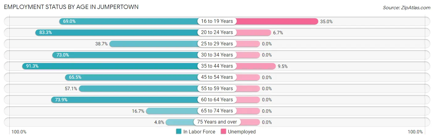 Employment Status by Age in Jumpertown