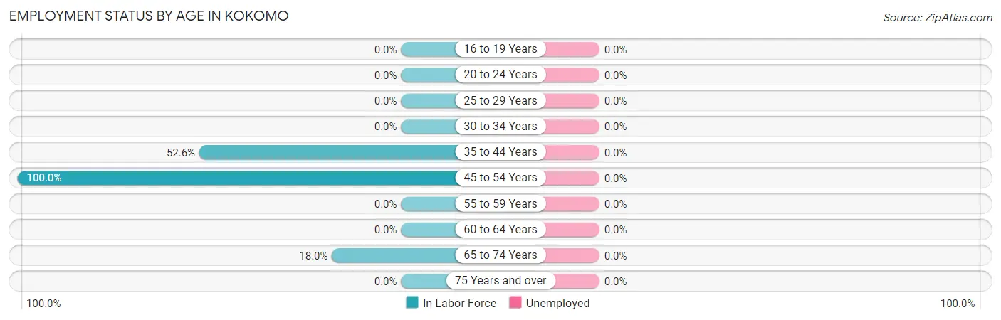 Employment Status by Age in Kokomo